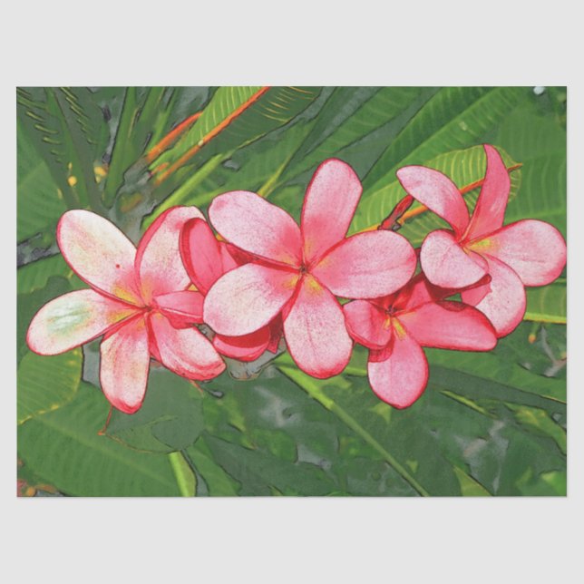 Plumerias pink  tissue paper (Front)