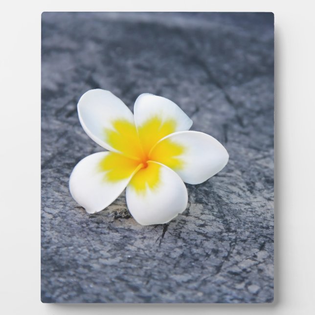 Plumerias Plaque (Front)