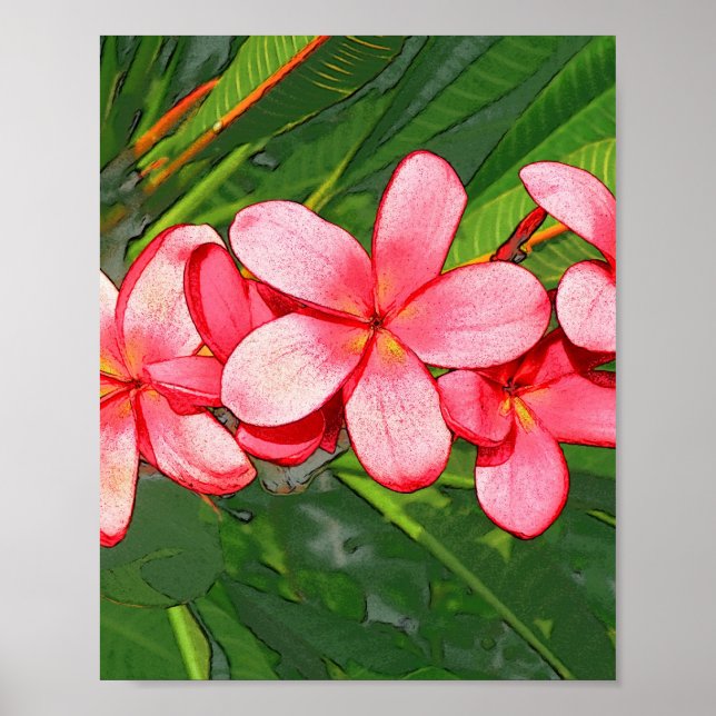 Plumerias Poster (Front)