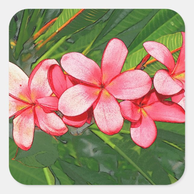 Plumerias Square Sticker (Front)