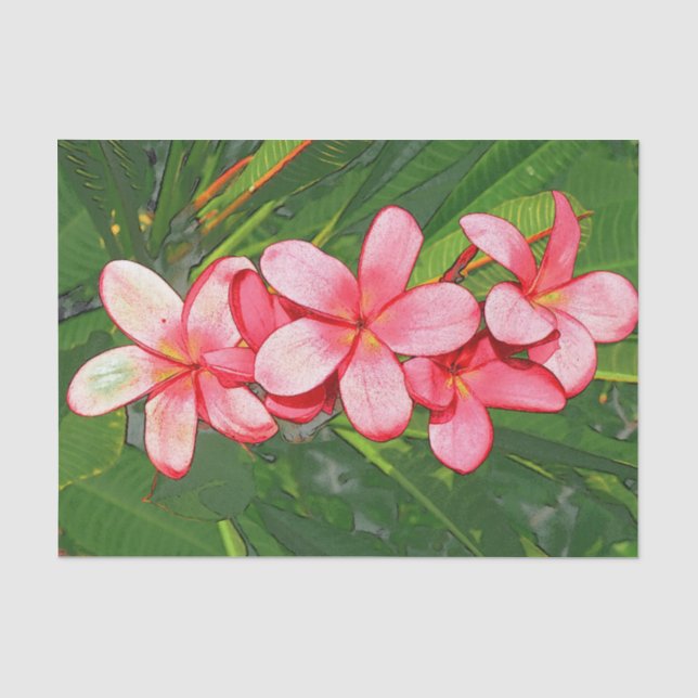 Plumerias Tissue Paper (Front)