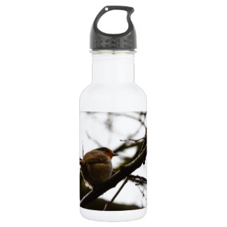 Plump English Robin 532 Ml Water Bottle