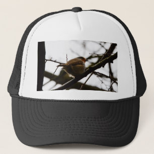 Plump English Robin Trucker Hat