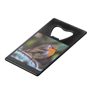 Plump Robin Perched On A Branch Wildlife Art