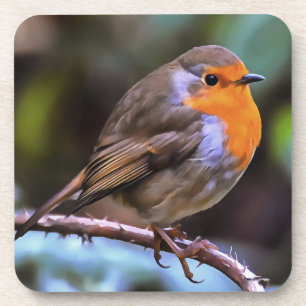 Plump Robin Perched On A Branch Wildlife Art Coaster