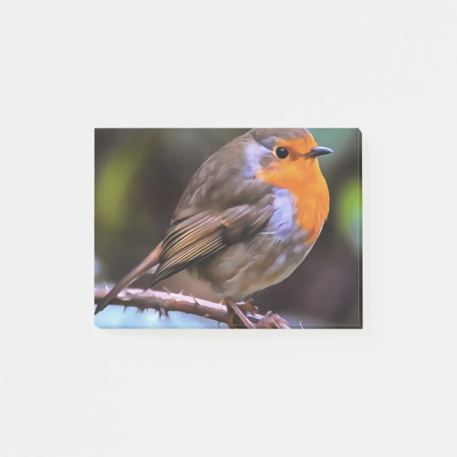 Plump Robin Perched On A Branch Wildlife Art Post-it Notes (Front)