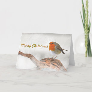 Plump Robin Redbreast Holiday Card