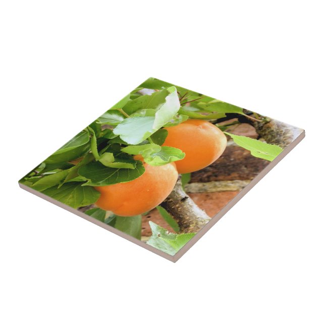 PLUMS CERAMIC TILE (Side)