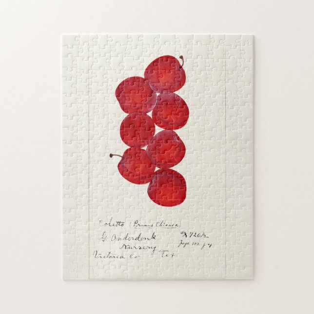 Plums (Prunus Domestica) Fruit Watercolor Painting Jigsaw Puzzle (Vertical)