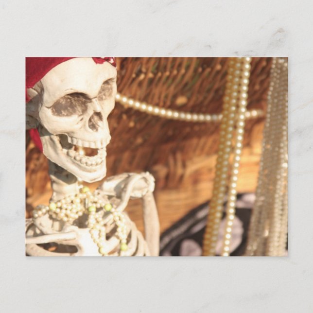 Plunder Party! Invitation Postcard (Front)