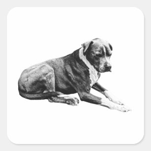 Plush Mark, Calm Mood Square Sticker