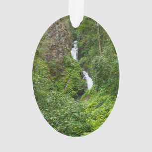 Plush Thunderbird Painterly Ornament