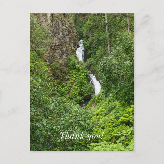 Plush Thunderbird Painterly Postcard (Front)