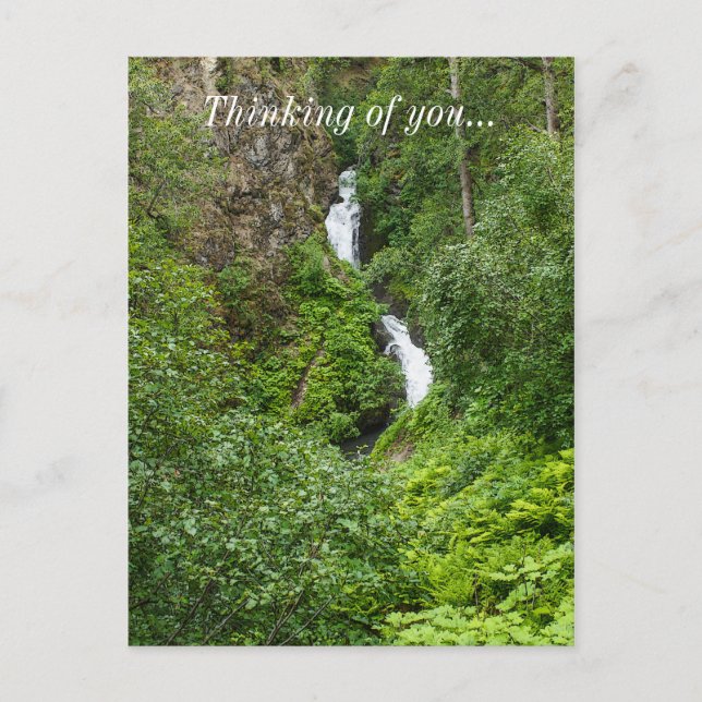 Plush Thunderbird Painterly Postcard (Front)