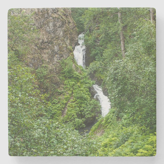 Plush Thunderbird Painterly Stone Coaster (Front)