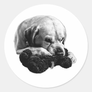 Plush Victory Classic Round Sticker