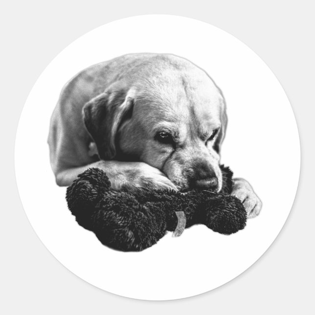 Plush Victory Classic Round Sticker (Front)
