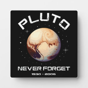 Pluto Never Forget Plaque