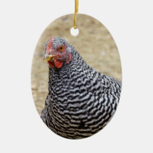 Plymouth Barred Rock Hen Photograph Ceramic Ornament