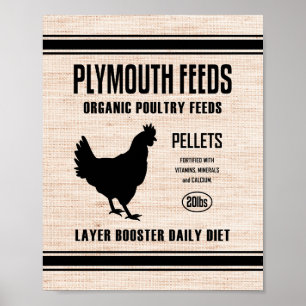 PLYMOUTH FEEDS POSTER