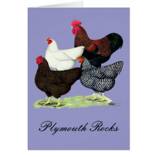 Plymouth Rock Quartet