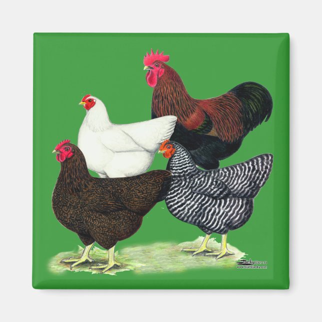 Plymouth Rock Quartet Magnet (Front)
