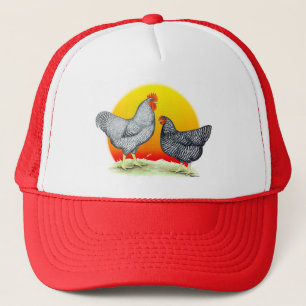 Plymouth Rocks: Sunrise Trucker Hat