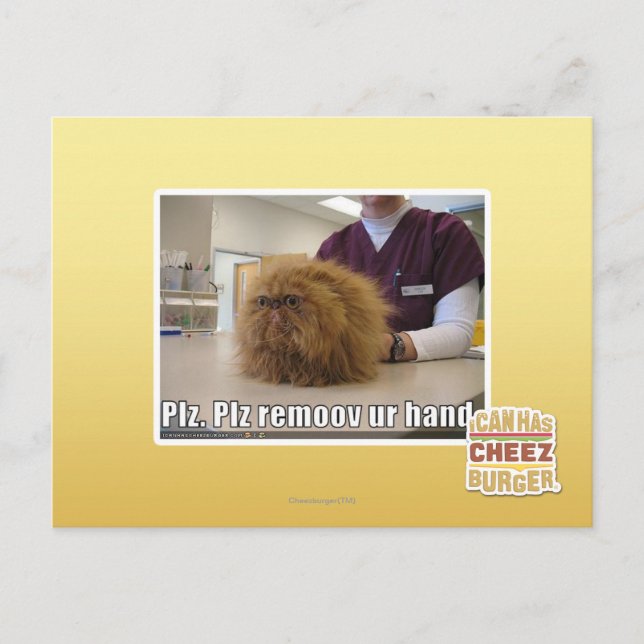 Plz remoov ur hand postcard (Front)