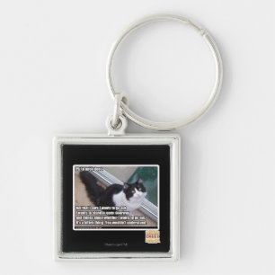 Plz to open door key ring