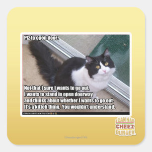 Plz to open door square sticker