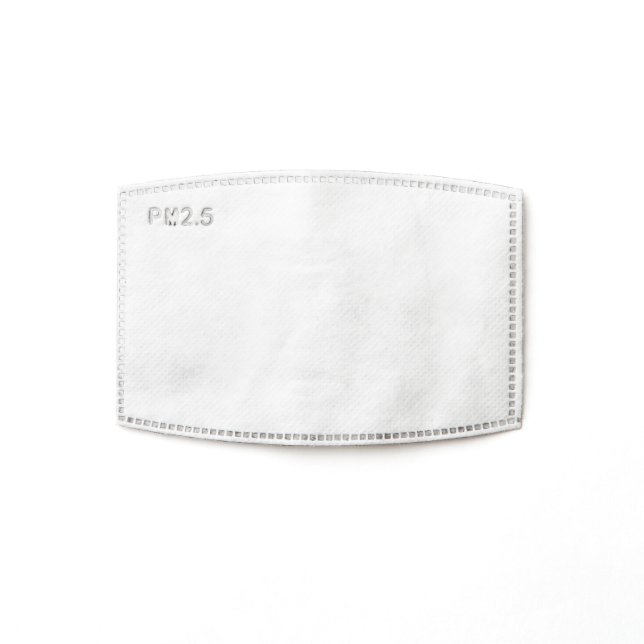 PM 2.5 Face Mask Filters (Single)