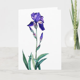 PMACarlson Garden   Iris Card