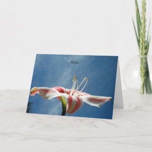 PMACarlson Hope Card