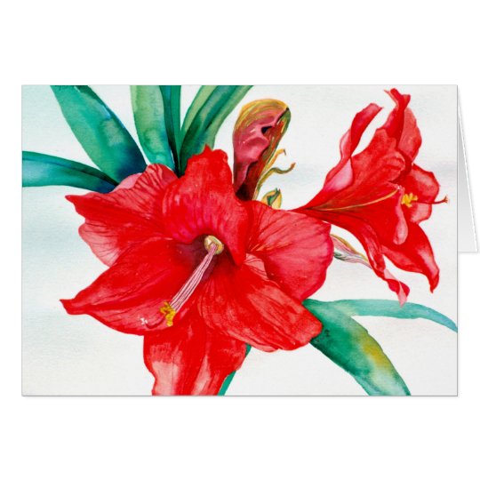 PMACarlson Red Amarylis Card