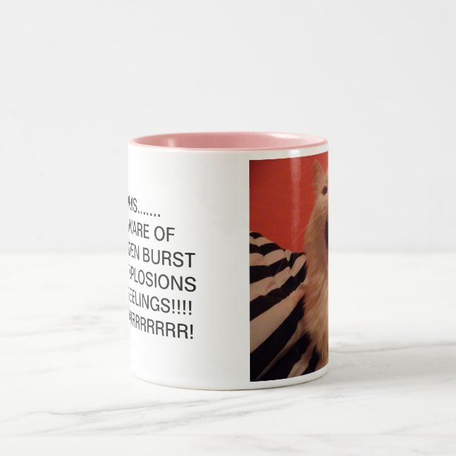 PMS MUG (Center)