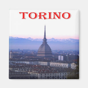 PMT013 TURIN, The Mole Antonelliana, Fridge Magnet