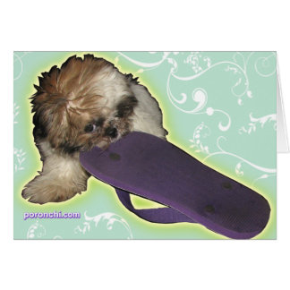 Pochi Puppy and Purple Flipflops