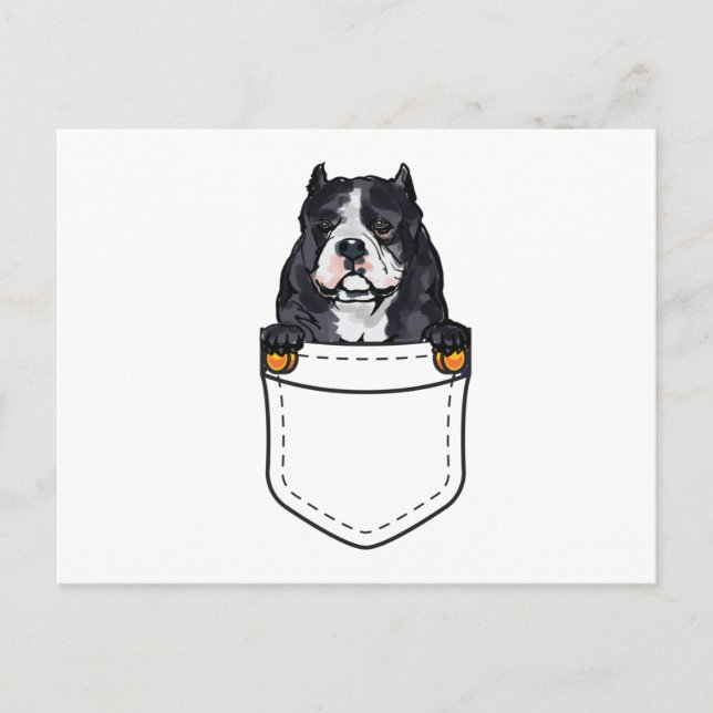 Pocket Bully Dog Invitation Postcard (Front)