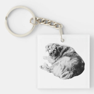 Pocket Comfort, Curled Pup Key Ring
