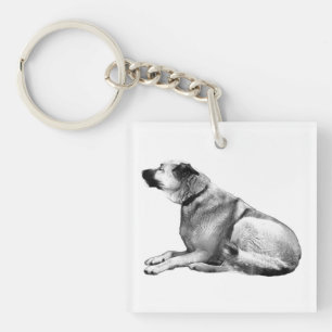 Pocket Companion Key Ring