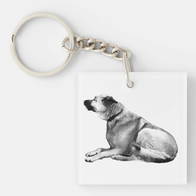 Pocket Companion Key Ring (Front)