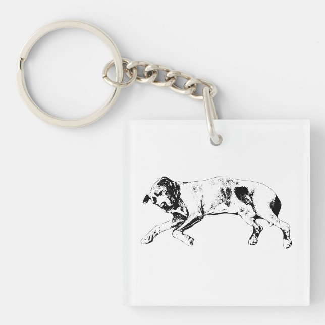 Pocket Daydream, Giftable Key Ring (Front)