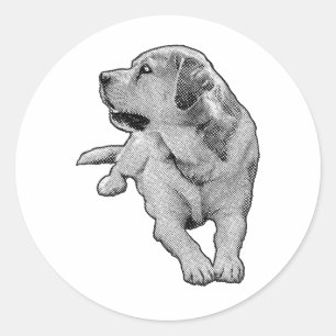Pocket Daydream, Retriever Classic Round Sticker
