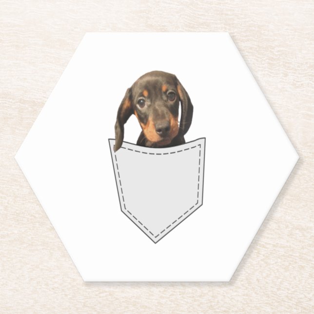 Pocket Dog Dachshund  Paper Coaster (Front)