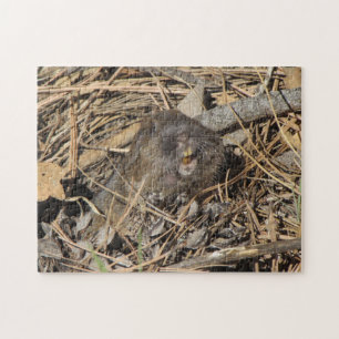 Pocket Gopher Jigsaw Puzzle