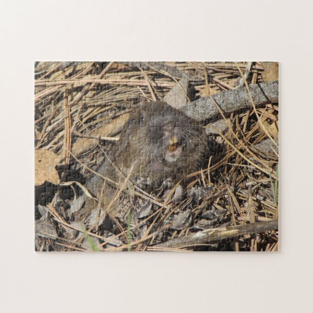 Pocket Gopher Jigsaw Puzzle (Horizontal)