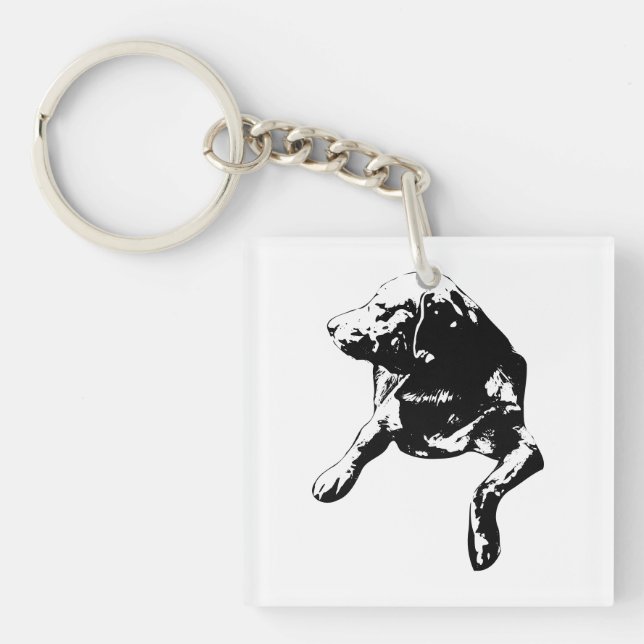 Pocket Lab, Side-Look Charm Key Ring (Front)