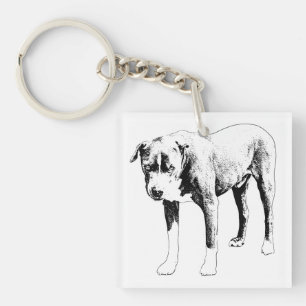 Pocket Loyal, Easy Find Key Ring