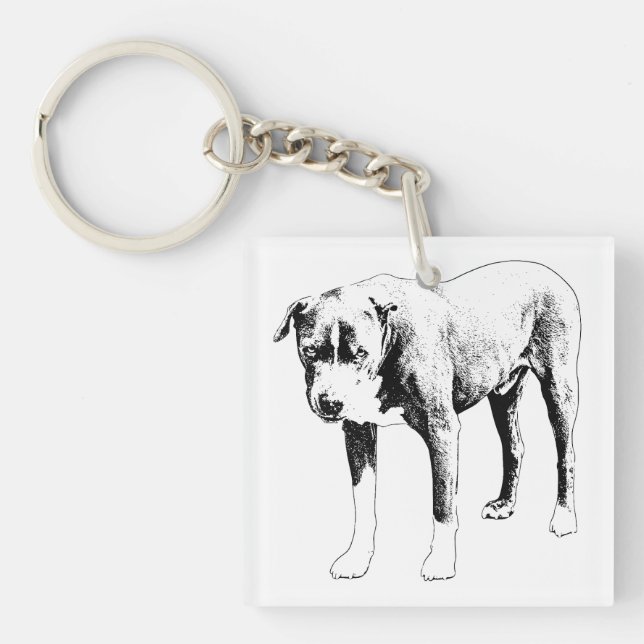 Pocket Loyal, Easy Find Key Ring (Front)