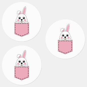 Pocket Pet Bunny